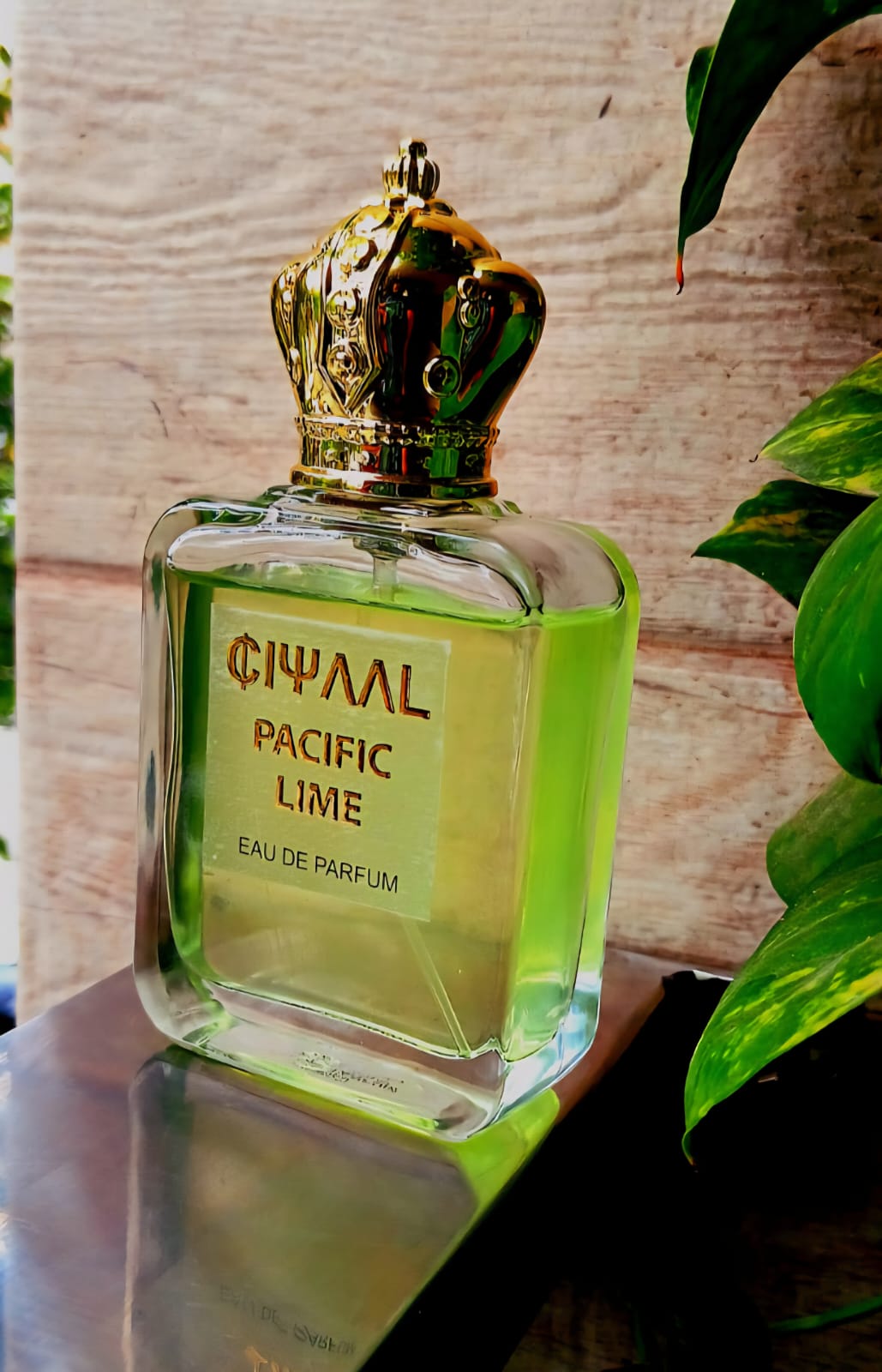 Ciyaal Pacific Lime
